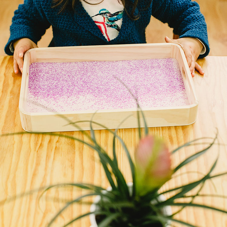 Charlotte's House Early Learning & Quality Childcare Woree Qld