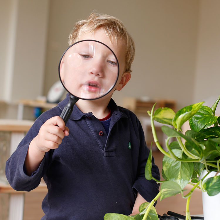 Charlotte's House Early Learning & Childcare Woree Qld